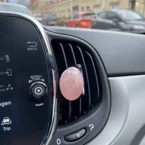 Rozenkwarts voor in de auto