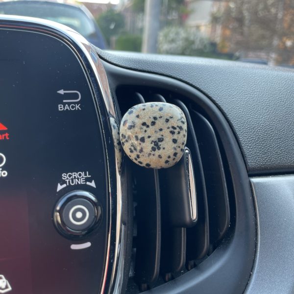 Dalmatiër Jaspis voor in de auto