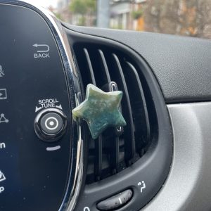 Mosagaat ster voor in de auto
