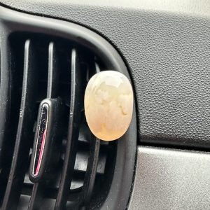 Bloem agaat voor in de auto