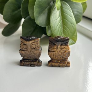 Tijgeroog uil