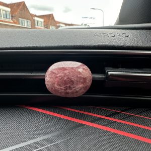 Aardbeienkwarts voor in de auto