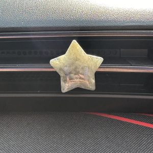 Labradoriet ster voor in de auto