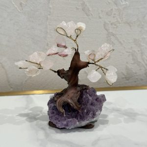 Rozenkwarts edelsteenboompje #260