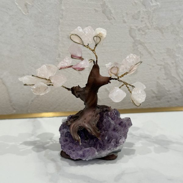 Rozenkwarts edelsteenboompje #260