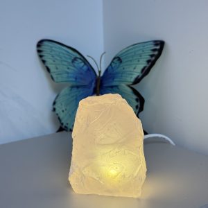Rozenkwarts lampje (usb) #2