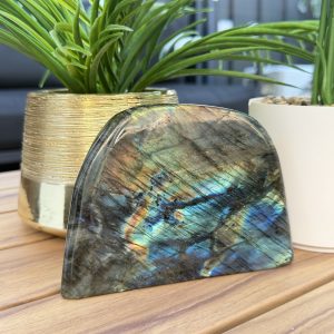 Labradoriet op standvlak ##369